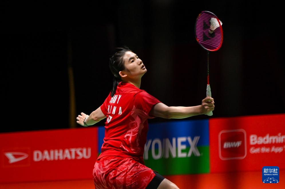 乓球的球迷 乓球的球迷