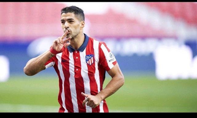 八强其余队 八强其余队